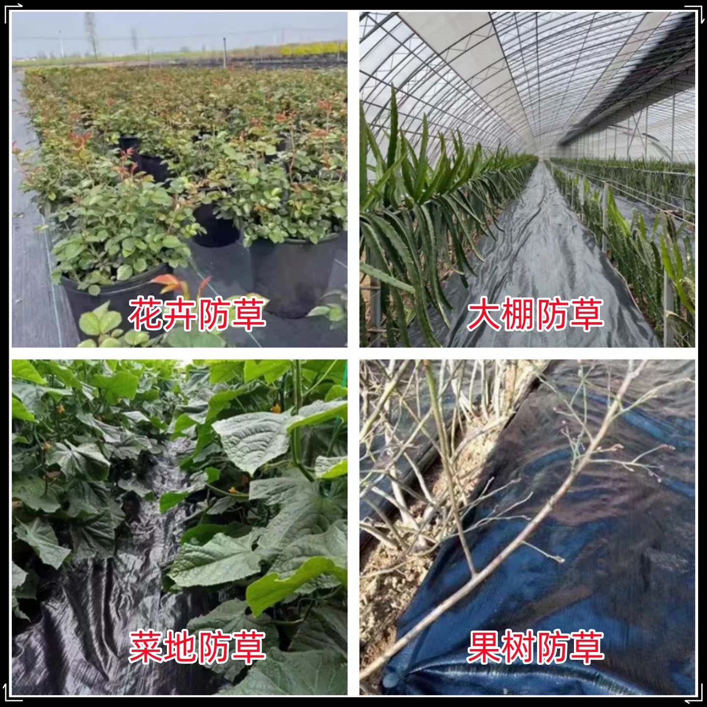 绵阳市货车苫盖膜防草布 - 推荐