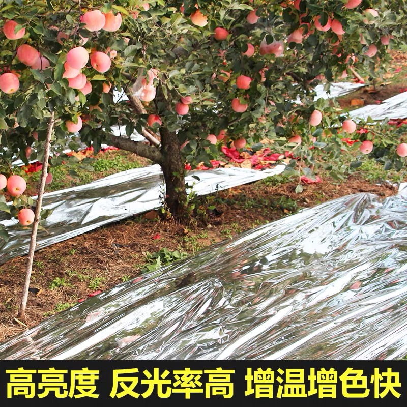 绵阳市塑料薄膜果树反光膜 - 厂家